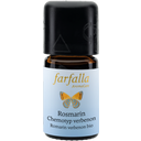 Rosemary Verbenone Chemotype, organic Grand Cru - 5 ml