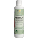 Shampoo Capelli Grassi e Forfora Mirto & Susina Rossa, 150 ml