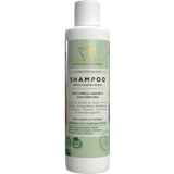 Shampoo Capelli Grassi e Forfora Mirto & Susina Rossa