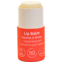 BEAUTY MADE EASY Paper Tube Lip Balm - Berry