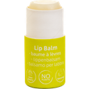 BEAUTY MADE EASY Paper Tube Lip Balm - Hemp