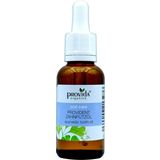 Provida Organics Provident Liquid Toothpaste