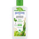 I PROVENZALI Aloe- ja kaurashampoo - 250 ml