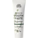 Eucalyptus Toothpaste, 75 ml