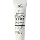 Urtekram Organic Eucalyptus Toothpaste