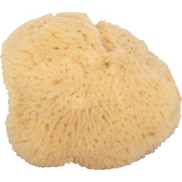 Niyok Face Sponge  - 1 Pc