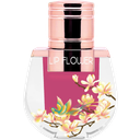 Shaoyun Flowergloss Orchidee