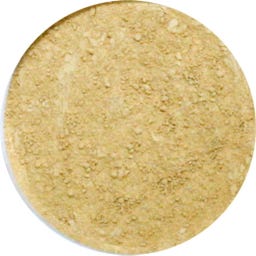 Earth Minerals Satin Matte Foundation Trail Set  - Golden