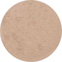 Earth Minerals Satin Matte Foundation Trail Set - Neutral