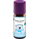 Biologische Baldini Geurmelange Wintertijd - 10 ml