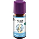 Biologische Baldini Geurmelange Engelengeur, 10 ml