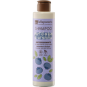 Antioxidant Shampoo, 200 ml