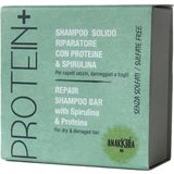 ANARKHIA Protein+ Solid Repair Shampoo