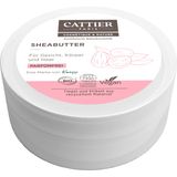 CATTIER Paris Shea Butter 100% Organic