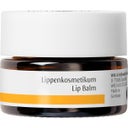 Dr. Hauschka Lippenbalsem - 4,50 ml