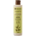 Champú con Aceite de Oliva, 200 ml