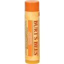 Burt's Bees Balzam za usne s mango maslacem - 4.25 g