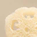 4 PEOPLE WHO CARE Loofah Natuurlijke Spons - 1 Stuk