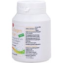 SanaCare SanaCollagen - 120 Kapseln