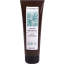 PHYTORELAX LABORATORIES Hemp Shower & Shampoo