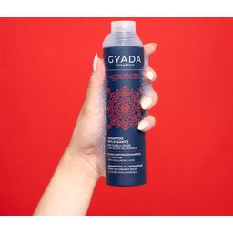 GYADA Cosmetics Hyalurvedic Farbglanz-Shampoo Red Hair - 200 ml