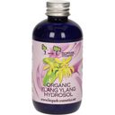 Organiczny hydrozol z jagodlinem wonnym (ylang ylang) - 100 ml