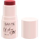 SANTE U Glow Girl Blush Stick - 02 Rose