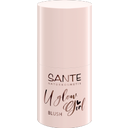 SANTE U Glow Girl Blush Stick - 02 Rose