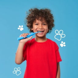 happybrush ECO VIBE StarterKit Kids Paw Patrol - 1 Stuk