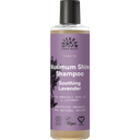 Soothing Lavender Shampoo, 250 ml