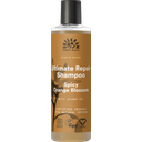 Spicy Orange Blossom Ultimate Repair Shampoo - 250 ml