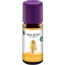 TAOASIS Baldini Duftmischung Yogaduft® - 10 ml