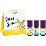 TAOASIS Baldini 3er-Duftset Zitrusgarten®