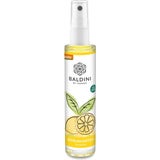 TAOASIS Baldini Raumspray Zitrusgarten
