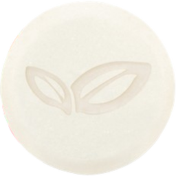 Organic Apple & Organic Aloe Vera Solid Shampoo - 60 g
