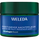 Soin de Nuit Redensifiant Gentiane Bleue & Edelweiss - 40 ml