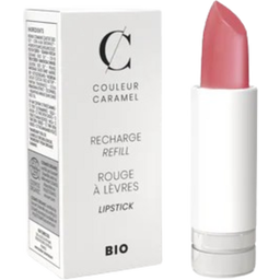 Couleur Caramel Barra de labios de recambio - n°504 Powdery Pink