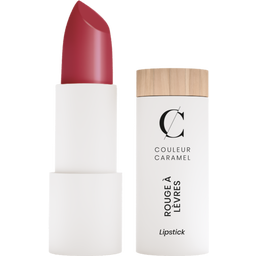 Couleur Caramel Kit Rouge à Lèvres - 121 Brick-Pink Pack