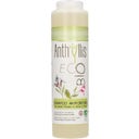 Anthyllis Anti Dandruff Shampoo - 250 ml