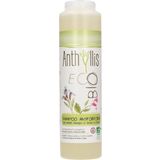 Anthyllis Anti Dandruff Shampoo