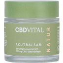 CBD akutni balzam, 50 ml