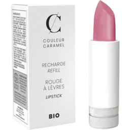 Couleur Caramel Huulipunan täyttö - n°203 Dark Pink