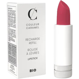 Couleur Caramel Barra de labios de recambio - n°121 Brick-Pink