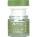 CBD-Vital CBD Acute Balm - 