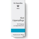 Dr. Hauschka Med Akut Lippenpflege Labimint - 5 ml