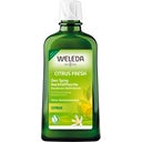 Citrus 24h Deodorant Spray Navulling, 200 ml
