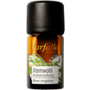 Mezcla Aromática 