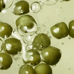 Organic Seeds Green Peas Shampooing Scalp Care - 450 ml