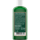 LOGONA Pflege Shampoo  - 75 ml