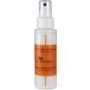 Naturaequa Dezodorans u spreju - Vanilla & Cedar